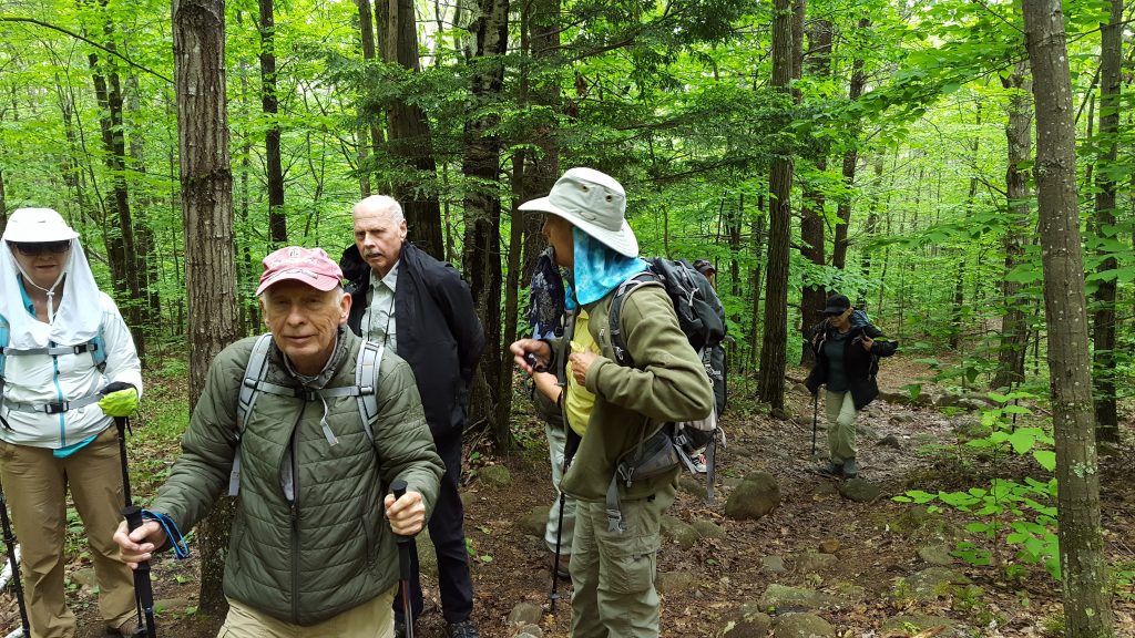 Monadnock-009-2018-06-05 To Monte Rosa via Marlboro Trail